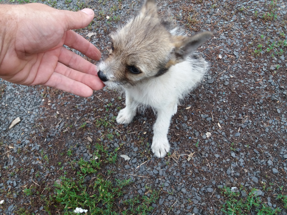 Подкидыш Подкидыш не всё так грустно