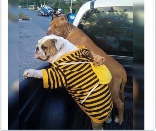 ЧУРЧХЕЛА ЧУРЧХЕЛА