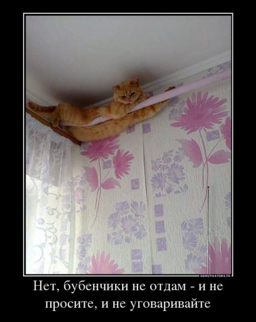 Свежие демотиваторы-приколы (13 шт)