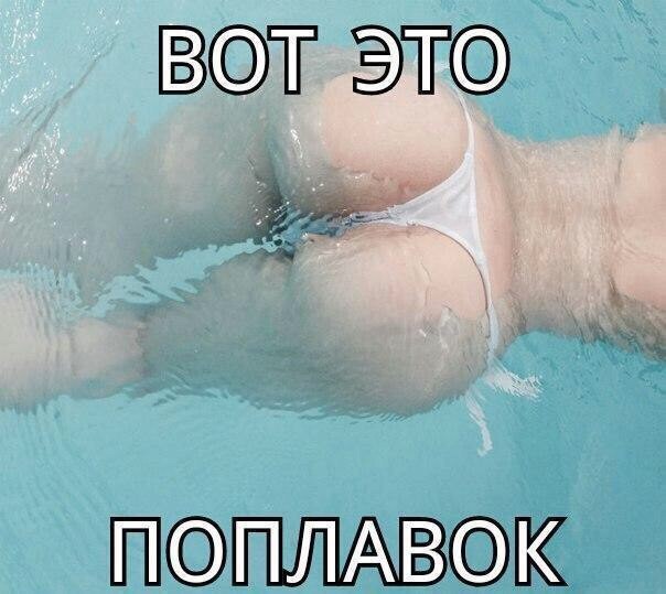 Смешные картинки с надписями прикол, юмор