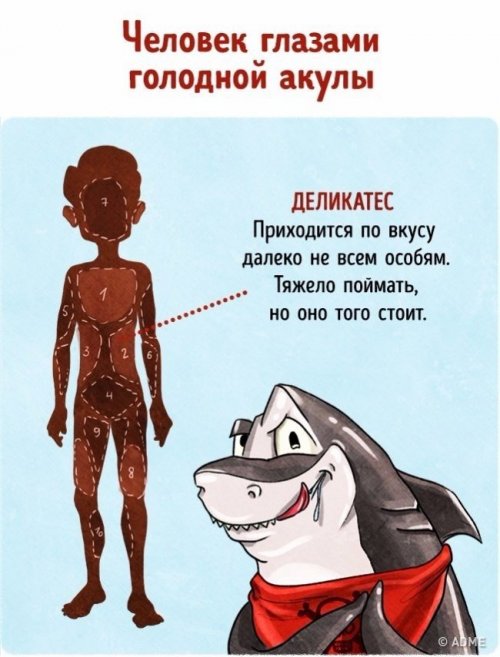 Человек глазами животных (9 фото)