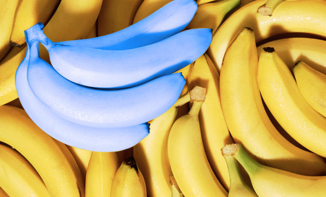 На Яве растут бананы, которых нет больше нигде. Они голубого цвета и вкусом как ванильное мороженое
