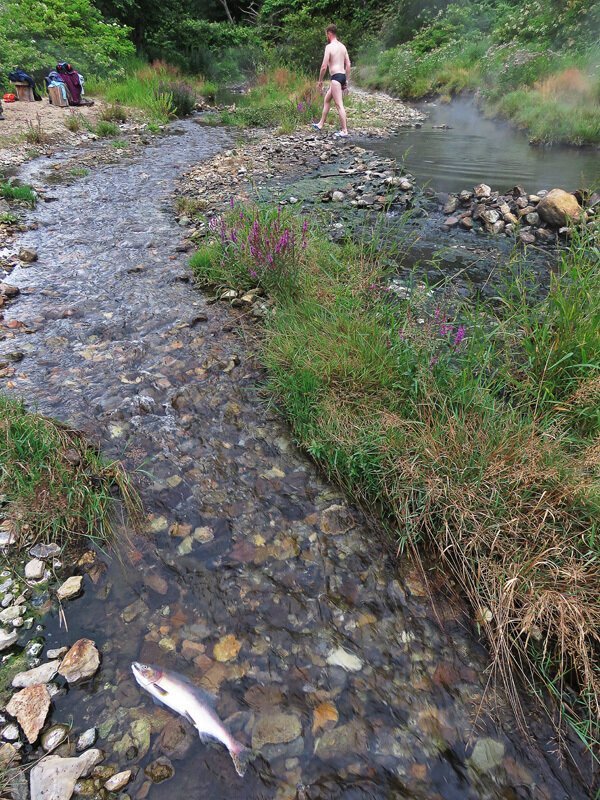 Кунашир: мыс Столбчатый Кунашир: мыс Столбчатый