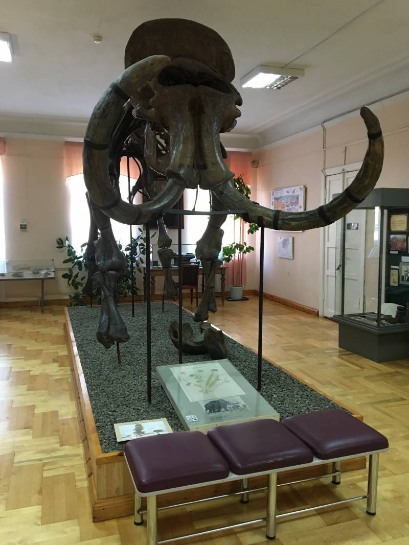 Древние культуры нашей страны: Куйбышевская экспедиция против буржуазных фальсификаторов Древние культуры нашей страны: Куйбышевская экспедиция против буржуазных фальсификаторов история