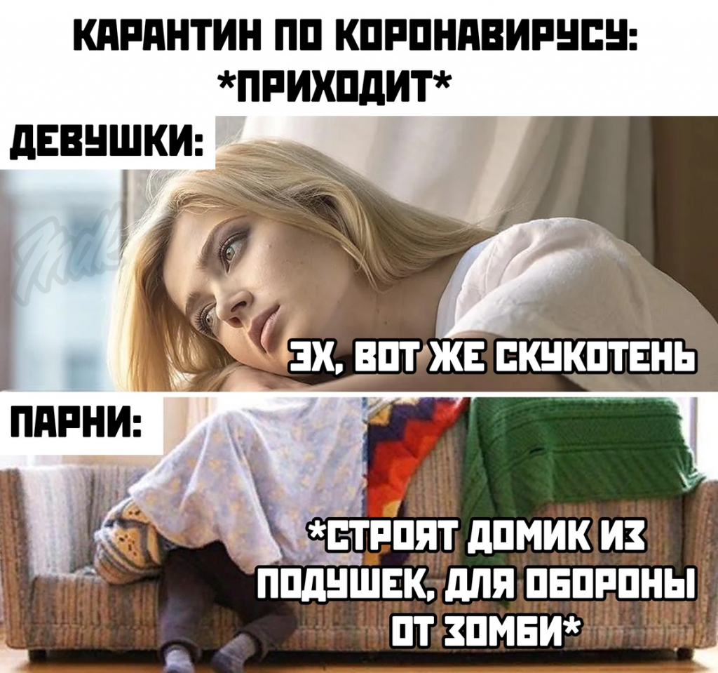 Шутки про карантин