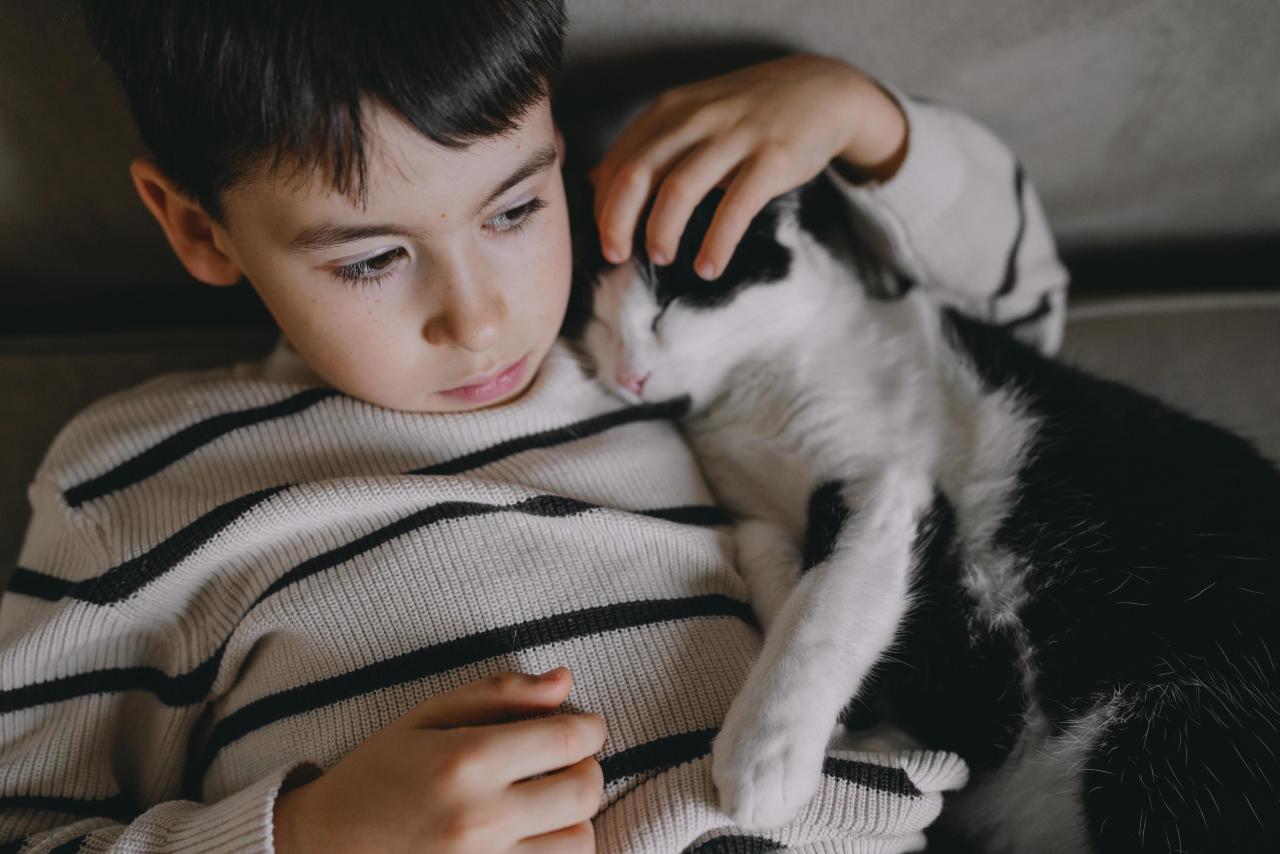 «Он не игрушка»: как объяснить ребенку, что питомца обижать нельзя может, животное, ребенок, питомцем, собака, кошка, когда, стоит, ребенка, играть, питомца, хвост, границы, только, должны, могут, можно, рычит, руками, значит