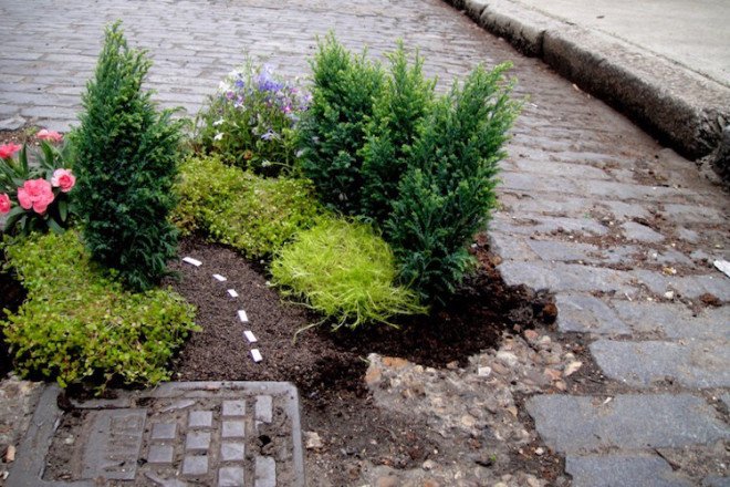 Miniature Pothole Garden by Steve Wheen