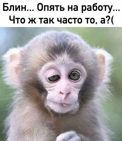 Шутки для отличного настроения