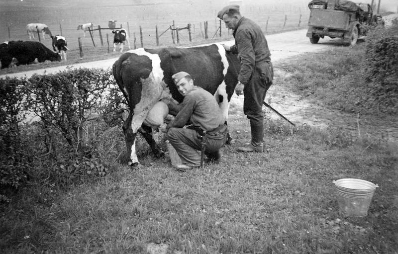 Что сильно удивило немцев после нападения на СССР 