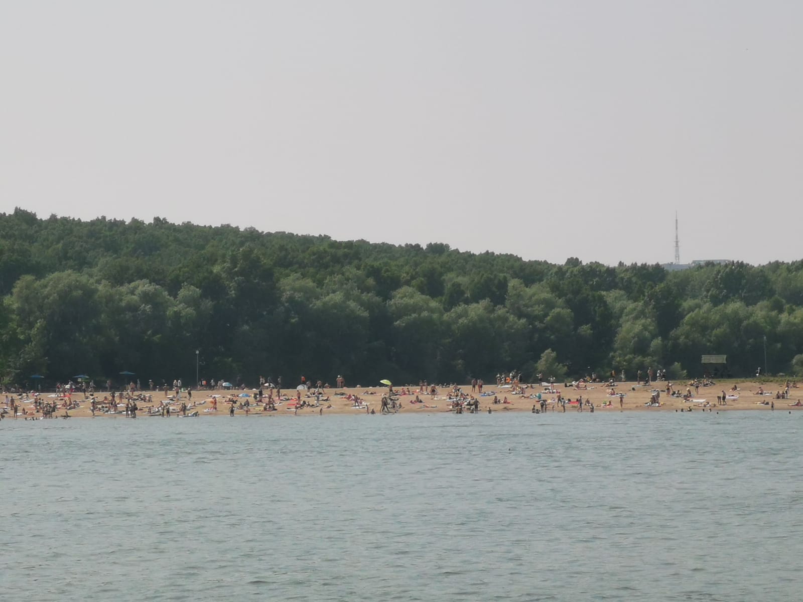 Вода в водохранилищах новосибирск. Обское водохранилище. Водохранилище Новосибирск. Пляж Новосибирск. Новосибирское водохранилище пляж.