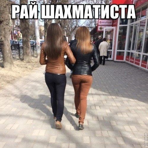 Смешные картинки с надписями прикол, юмор