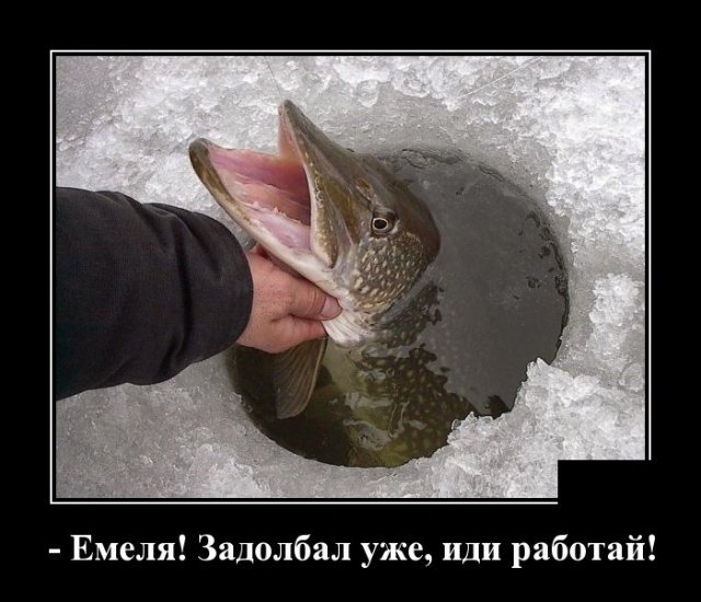 Зачетные и прикольные демотиваторы для поднятия настроения на весь день Зачетные и прикольные демотиваторы для поднятия настроения на весь день демотиваторы свежие,приколы,смешные демотиваторы,юмор