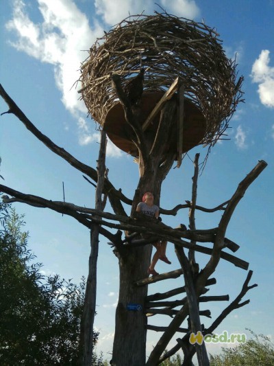 Экотуризм по-русски Экотуризм по-русски туризм,экология