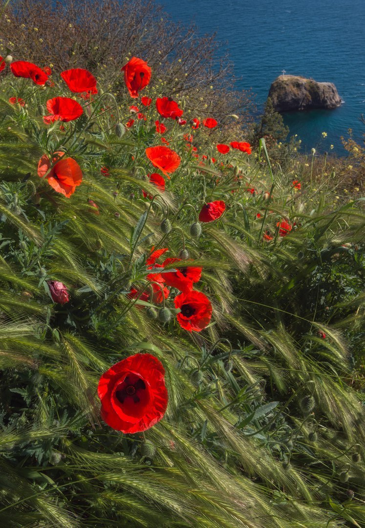 Классные фотографии и забавные картинки из сети красивые фотографии,прикольные картинки,шикарные фотографии