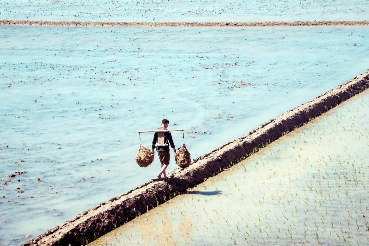 «Чосон» Дениса Давыденко: объективная нереальность из Северной Кореи «Чосон» Дениса Давыденко: объективная нереальность из Северной Кореи