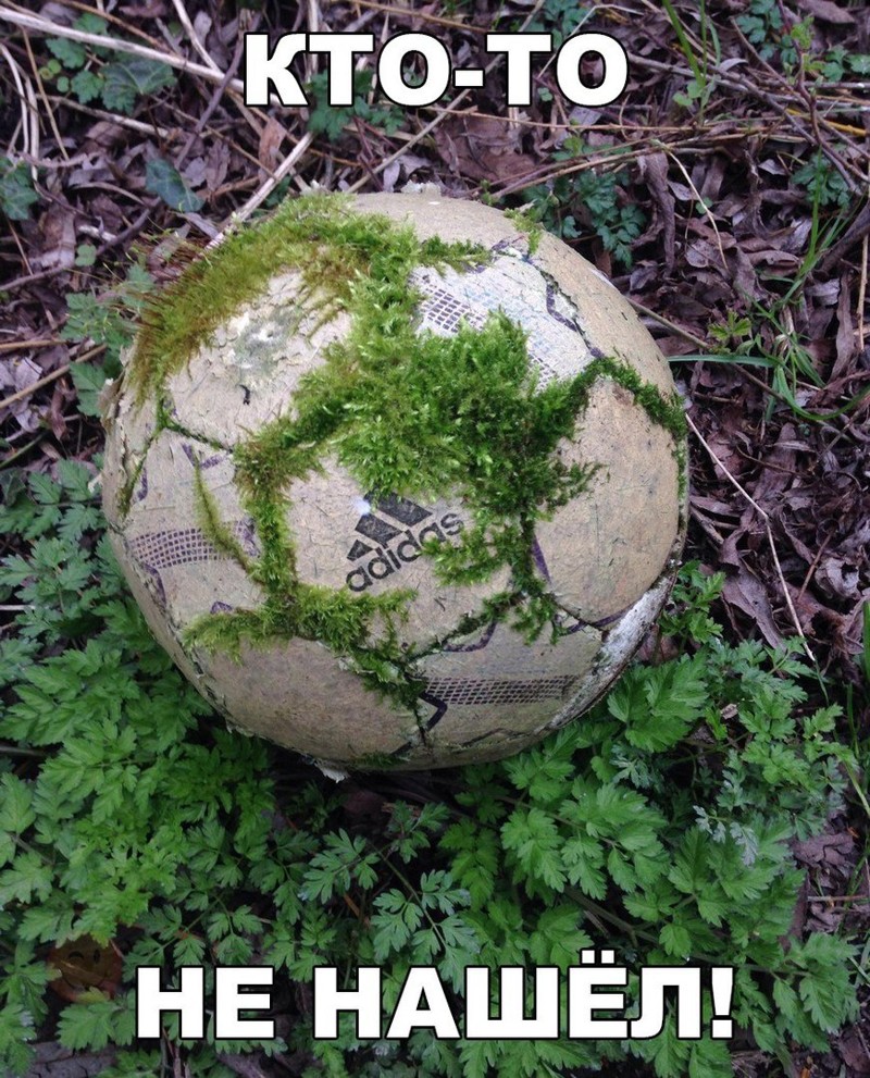 Смешные картинки с надписями прикол, юмор