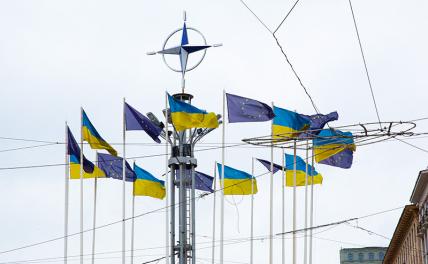 Демилитаризует ли Украина себя и НАТО? Демилитаризует ли Украина себя и НАТО? геополитика