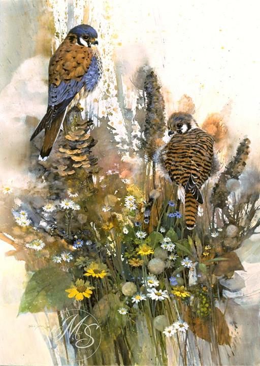 55ba9ff5d41a02bcf3157042efbf156d