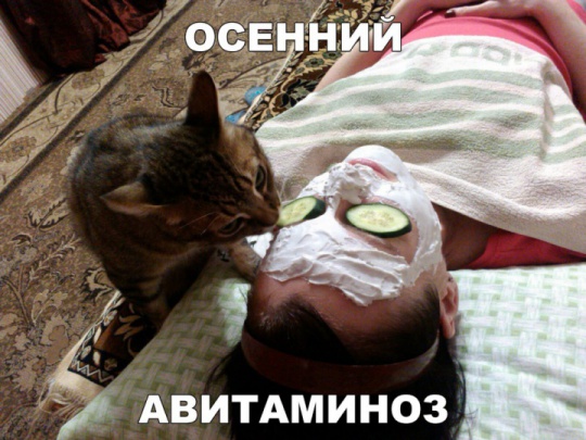 Веселые истории 