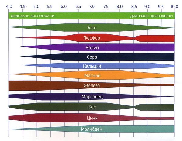Влияние кислотности на усваивание питательных элементов растениями. Фото с сайта bhz.ru