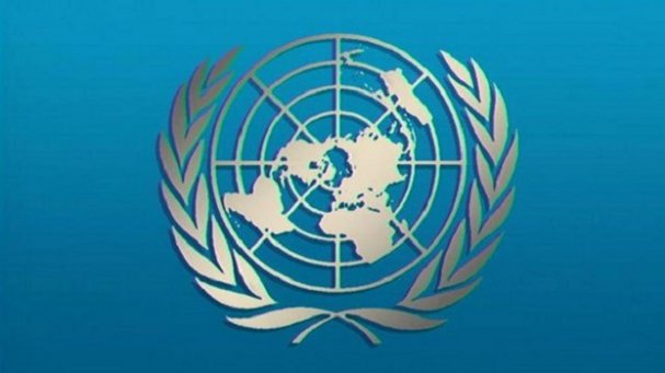 Украинским провокаторам снова досталось от российских политиков в ООН