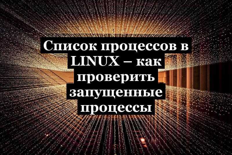 Список процессов в Linux – как проверить запущенные процессы