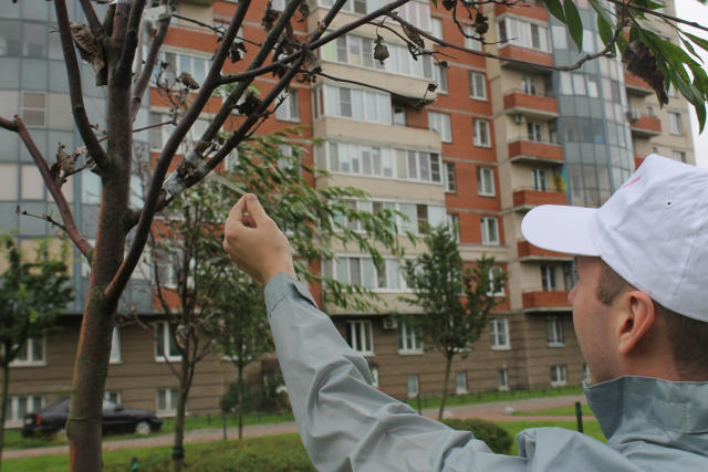 3. Без подписи
