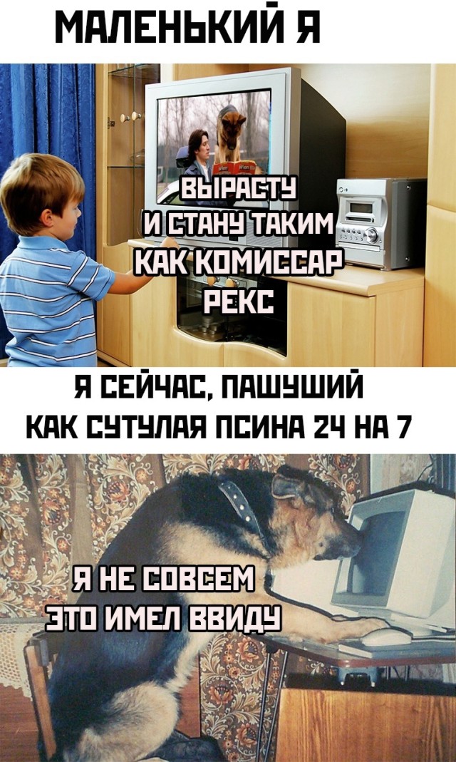 Подборка картинок. Вечерний выпуск Подборка картинок. Вечерний выпуск приколы,смешные картинки,юмор