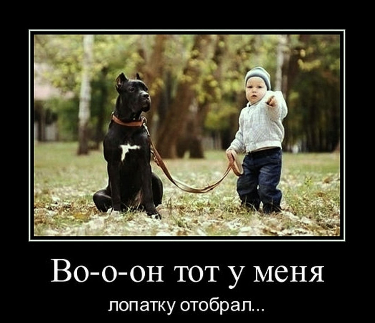 свежие фотоприколы и демотиваторы забывайте при