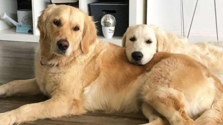 BeFunky-collage (18)