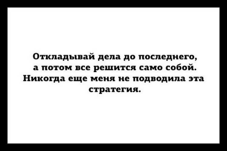 18 острых жизненных шуток для истинных ценителей сарказма 18 острых жизненных шуток для истинных ценителей сарказма
