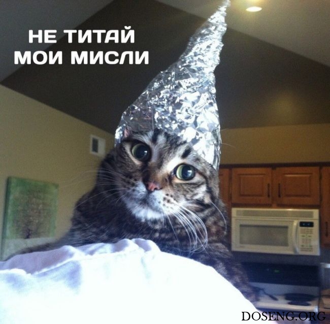 Прикольные картинки
