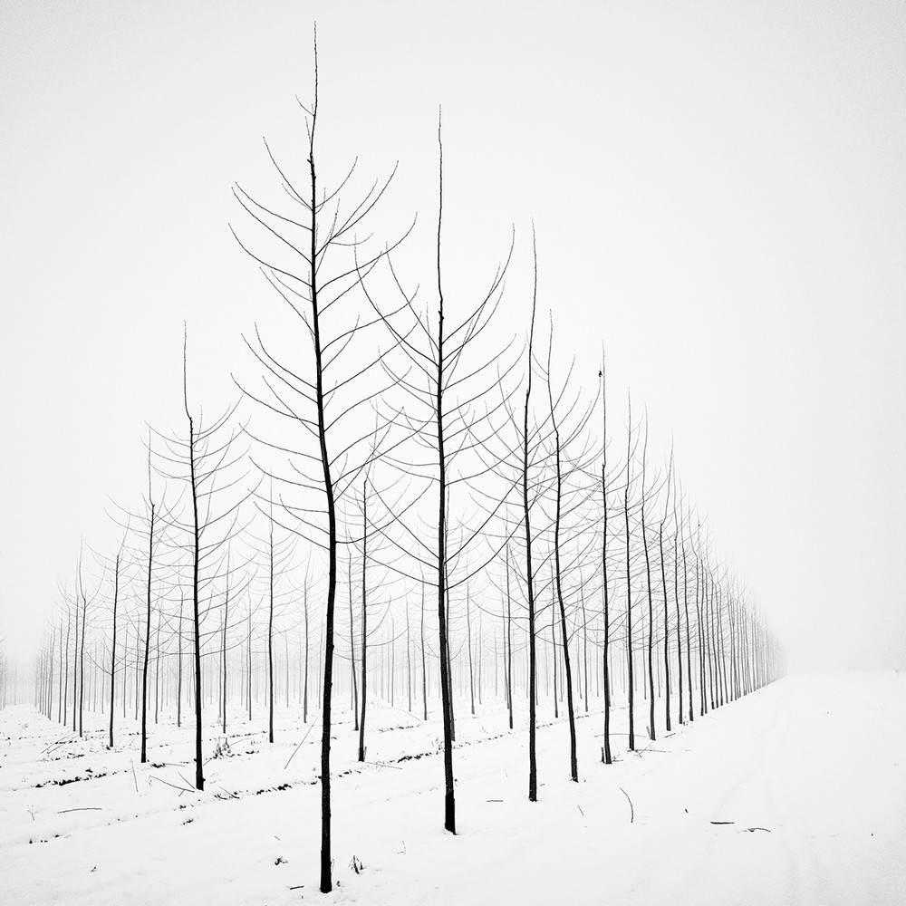 Cherno-belye-peyzazhnye-fotografii-Pera-Pellegrini 0