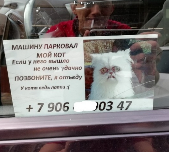 Автомобильная юморина. Класс!