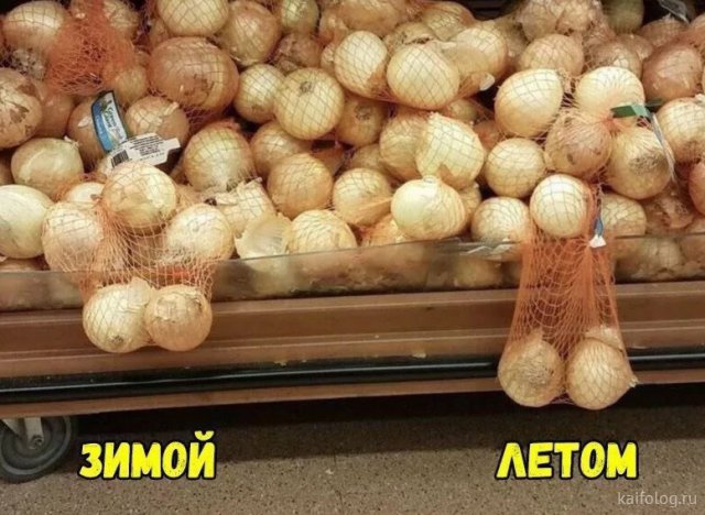 Приколы про лук Приколы про лук