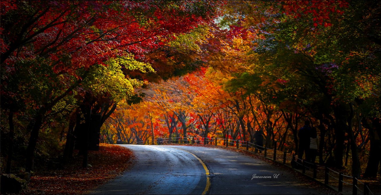 Фотография Autumn Road автор Jaewoon U на 500px