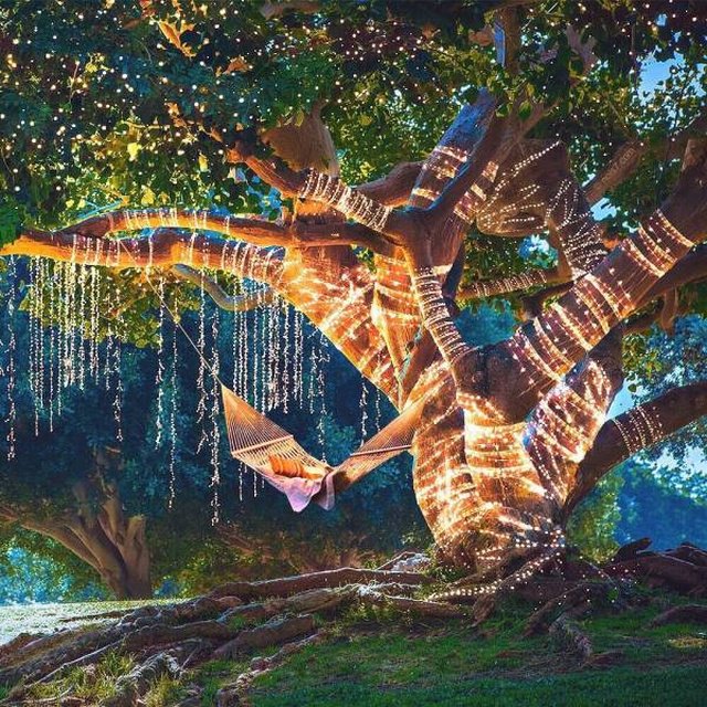 Фотоподборка субботы - 23 Февраля 2019 Фотоподборка субботы - 23 Февраля 2019