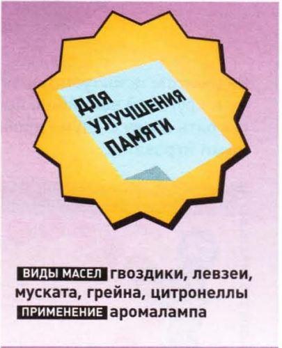 Алхимия запахов: можно ли исцелиться с помощью ароматерапии ароматерапия,здоровье и медицина