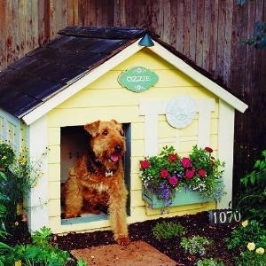 Отличные собачьи будки для дома и дачи,идеи и вдохновение