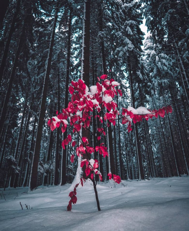 Швейцария, которая поражает с первого взгляда Швейцария, которая поражает с первого взгляда путешествие,Фотография,Швейцария
