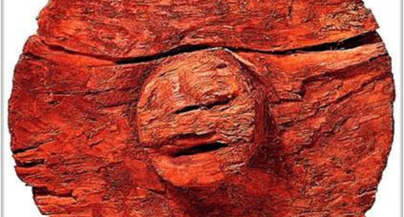 Почему люди так долго придумывали колесо