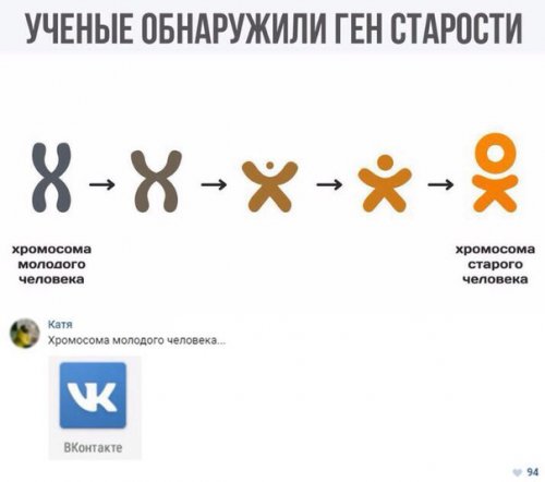 Прикольные комментарии (21 шт)