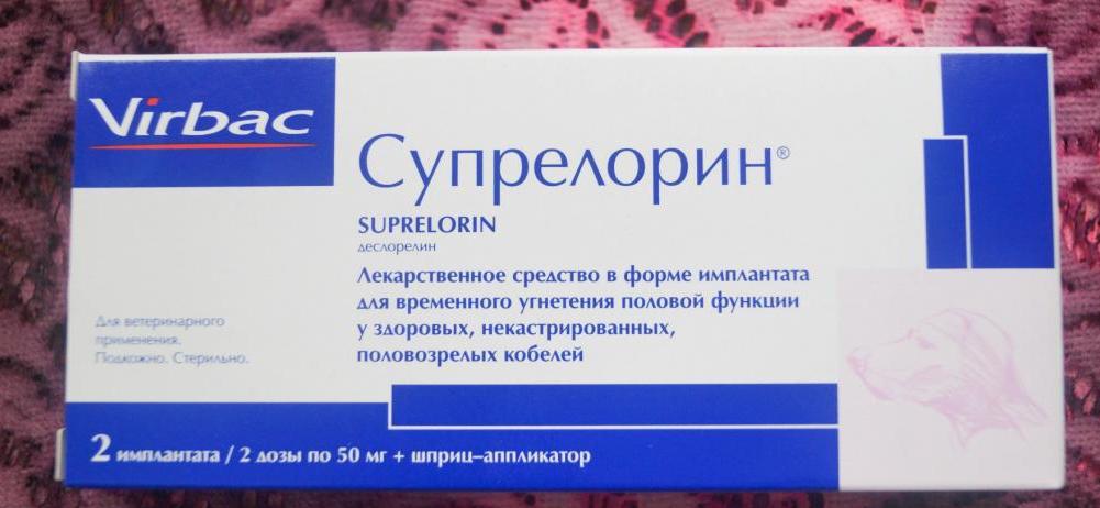 Химическая кастрация котов: препараты и способ введения