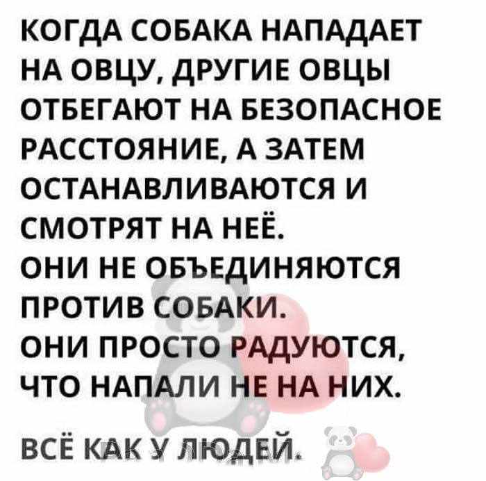Очередная подборка лучших из лучших коротких смешных и жизненных рассказов с просторов интернета Очередная подборка лучших из лучших коротких смешных и жизненных рассказов с просторов интернета