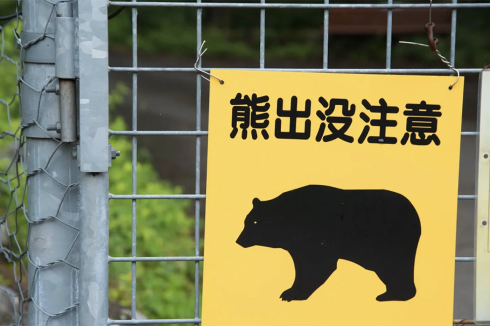 3 года «медведь-призрак» опустошает японские фермы, но поймать его не могут: появляется из ниоткуда и не оставляет следа медведь, Хоккайдо, странный, фермеров, местным, посетил, показали, шерсти, остатков, фермерам Собранные, «медведяпризрака», вредит, подряд, животное, исключением, людям, выходят, никогда, причем, места httpwwwyoutubecomwatchvWBHvp8P1D8MПроблема