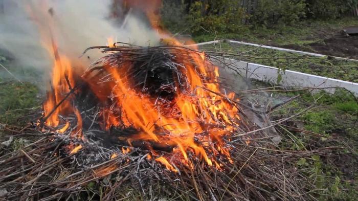 Никакого огня. |Фото: vsluh.ru.