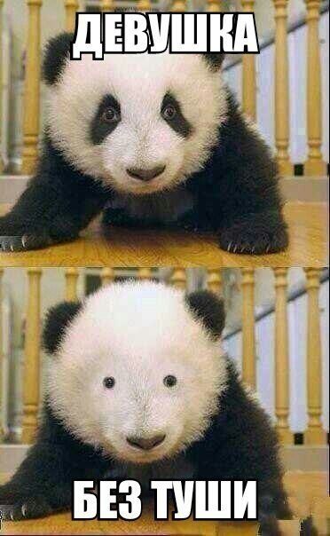 Прикольная фотоподборка (55 фото)