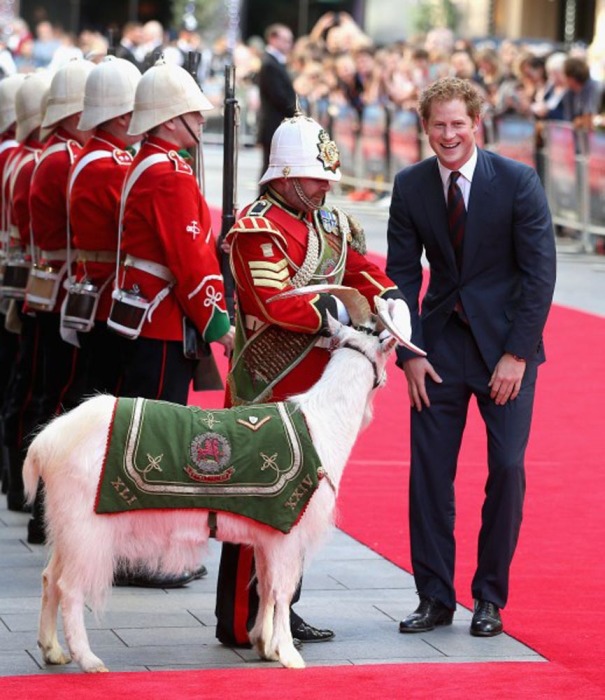 Козлы на службе в Британской армии Козлы на службе в Британской армии