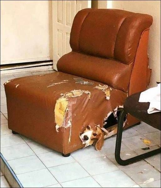 Подборка картинок. Дневной выпуск (55 фото)