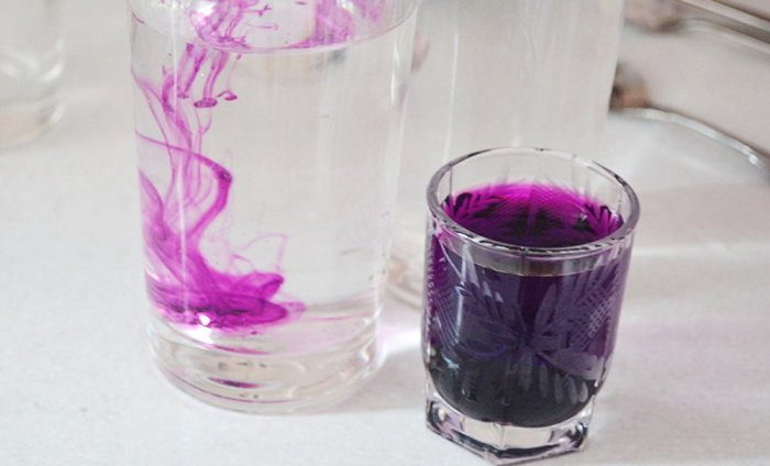 Что делать, если котик испортил вам обувь? домоводство,кошачий запах,своими руками